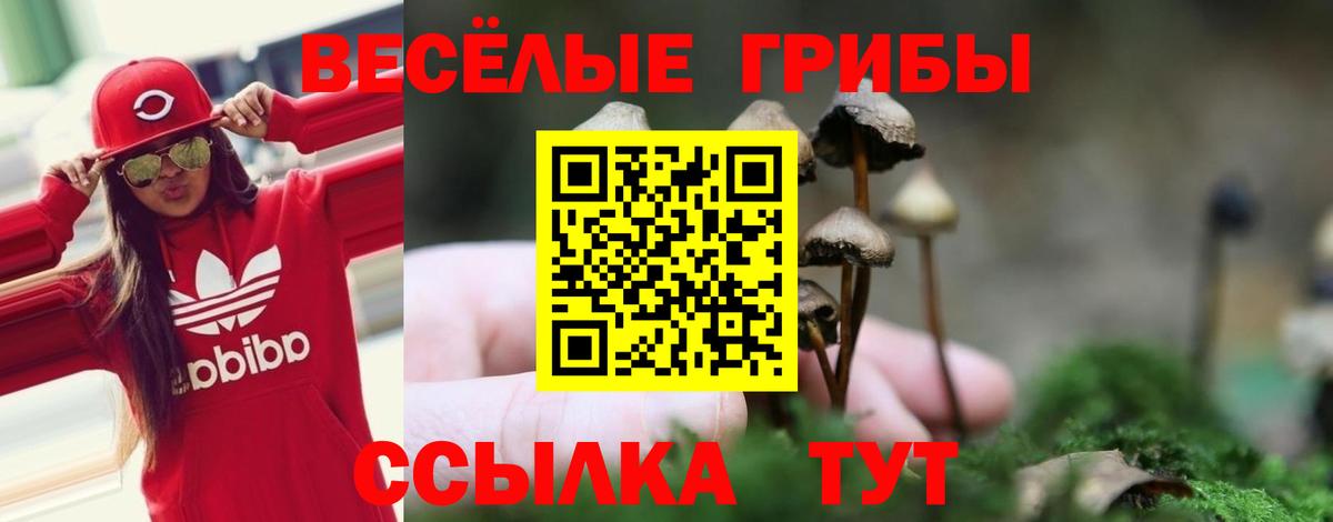 Галлюциногенные грибы мухоморы Добрянка